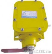 縱向撕裂開關(guān)YHZL-I、YHZL-IIBZL-220B防爆縱向撕裂保護(hù)裝置